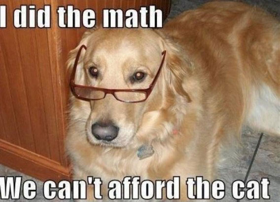 selfish-dog