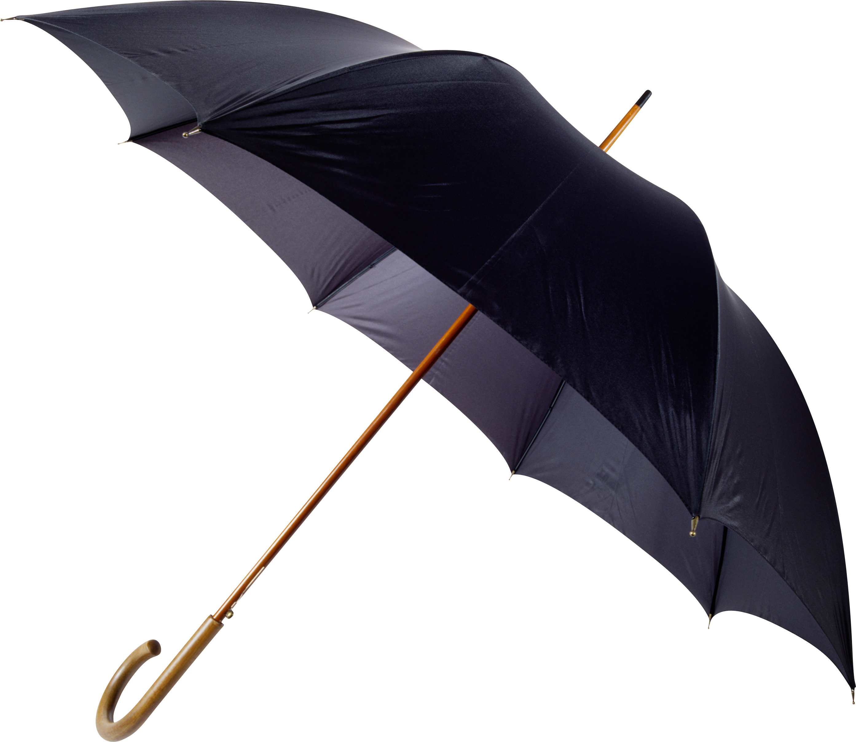 umbrella