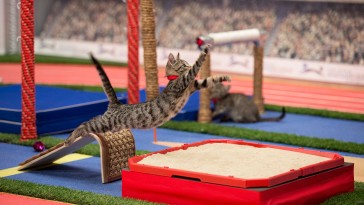 olimpicats