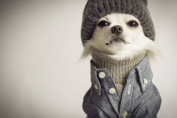 hipster
