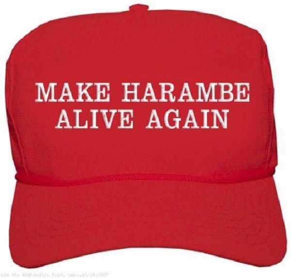 harembe meme
