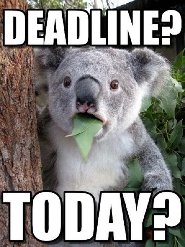 deadline meme