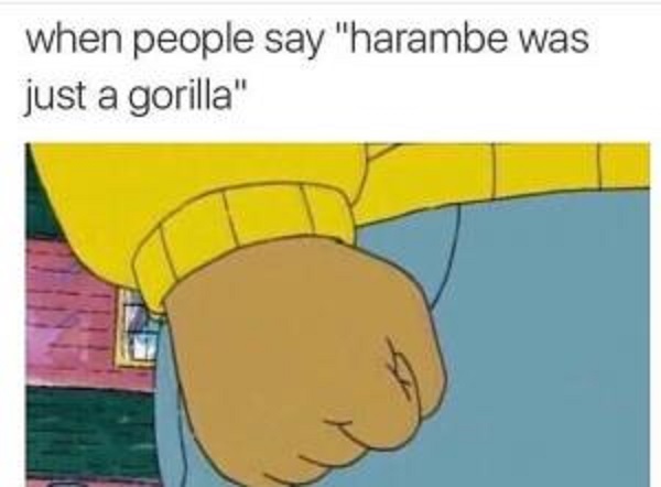Harambe meme