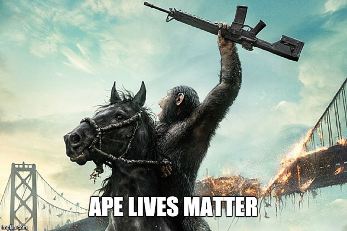 harambe meme