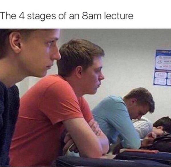 sarcams