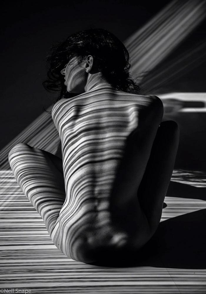 shadows
