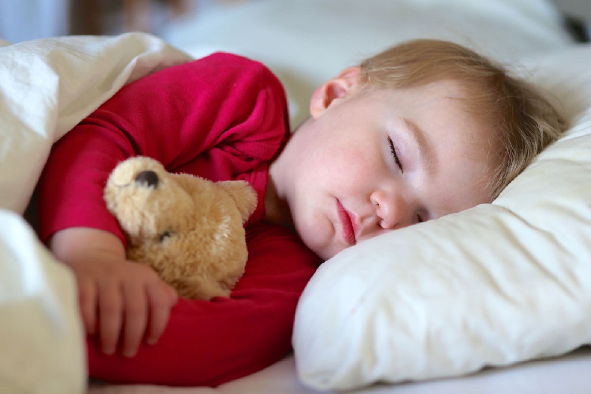 sleeping teddy bear