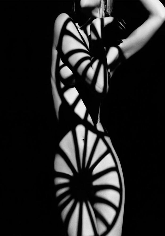 shadows