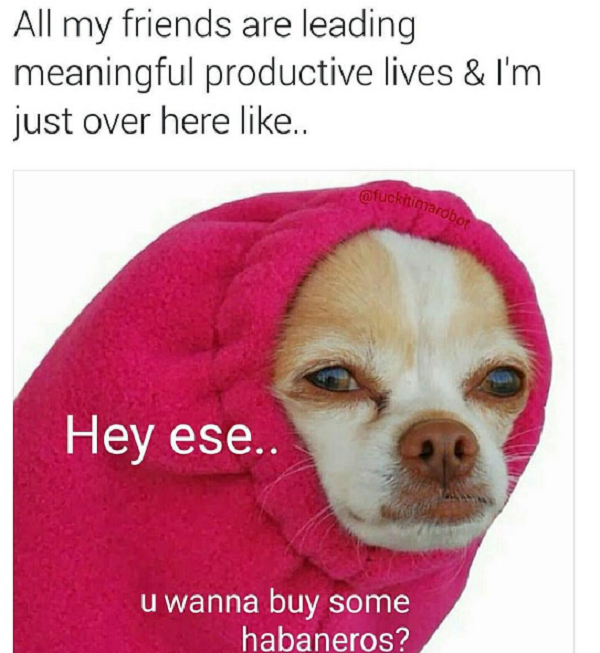 sarcasm