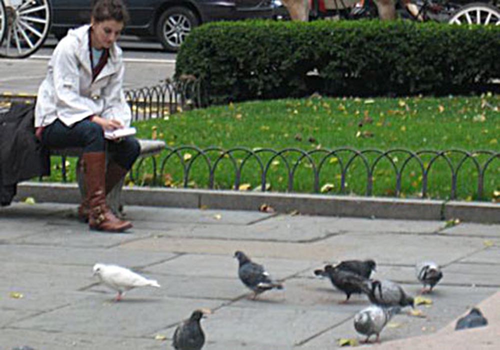pigeons read