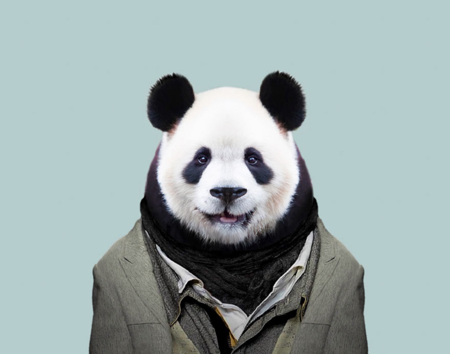 yago partal