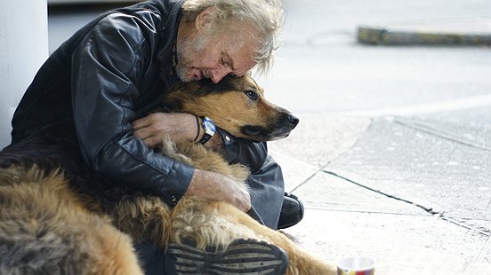 Unconditional love of dogs