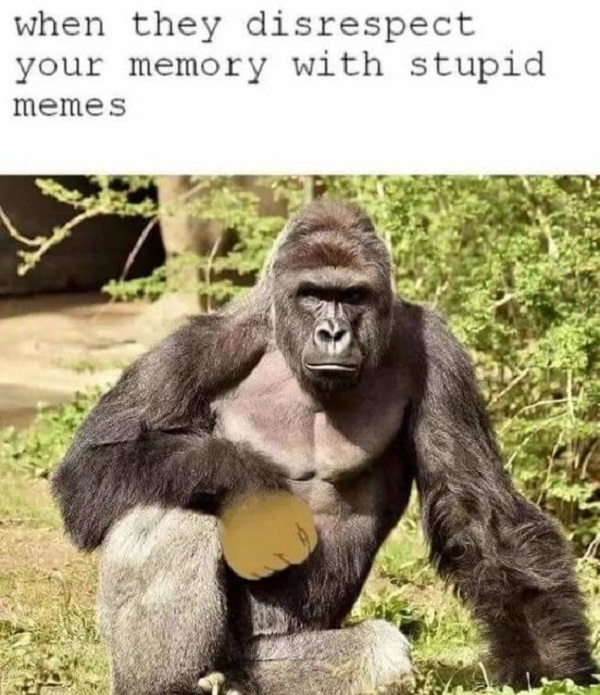 harambe meme