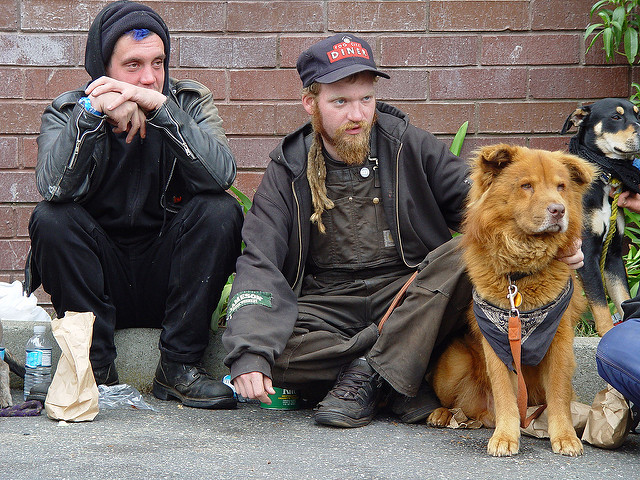 Unconditional love of dogs