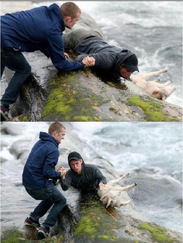 faith in humanity