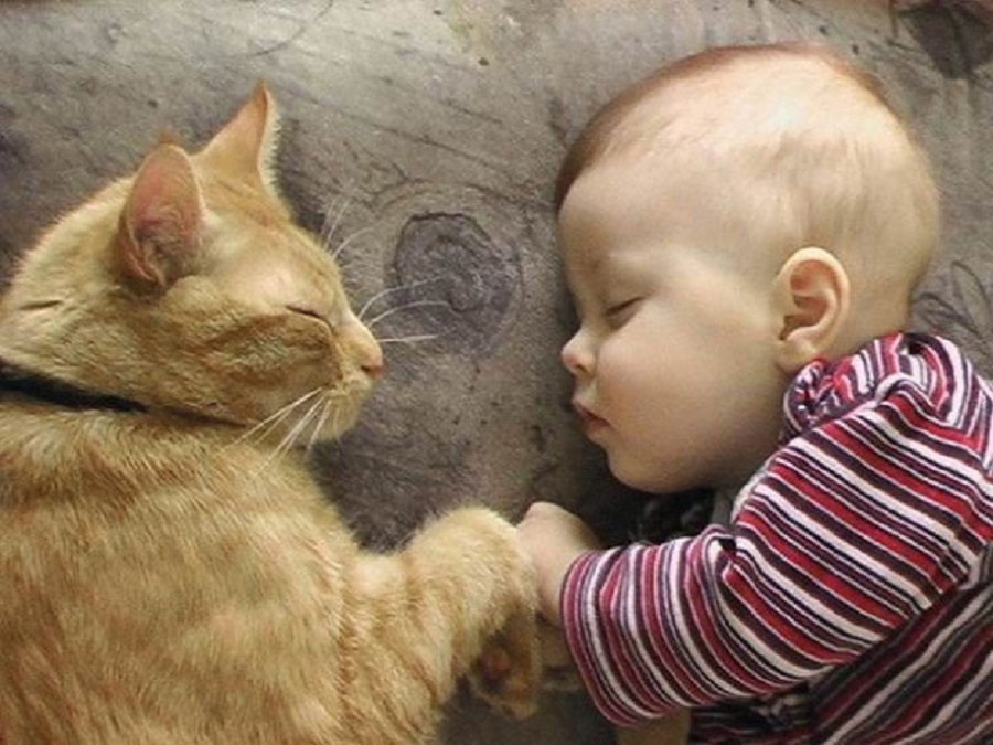 Image credit: www.funcage.com