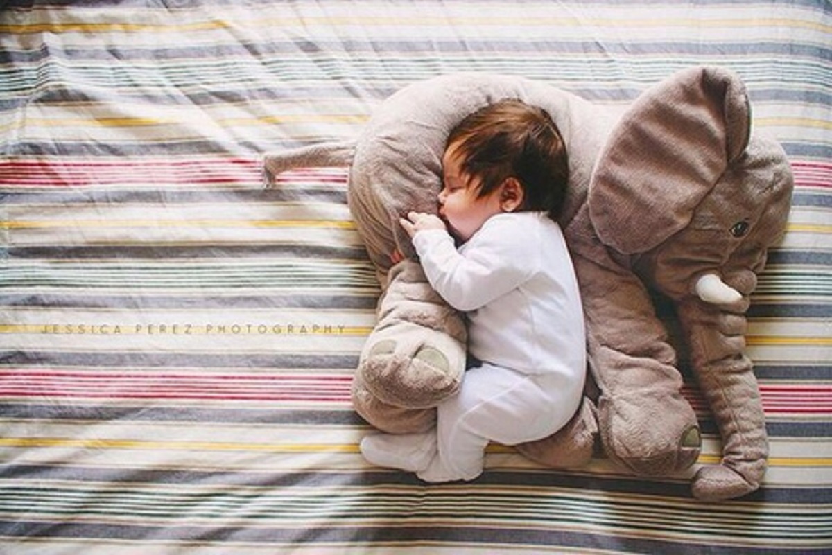 sleeping elephant