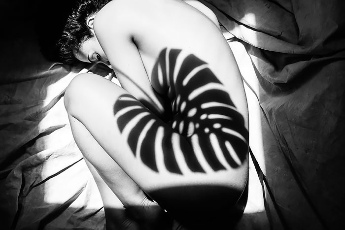 shadows
