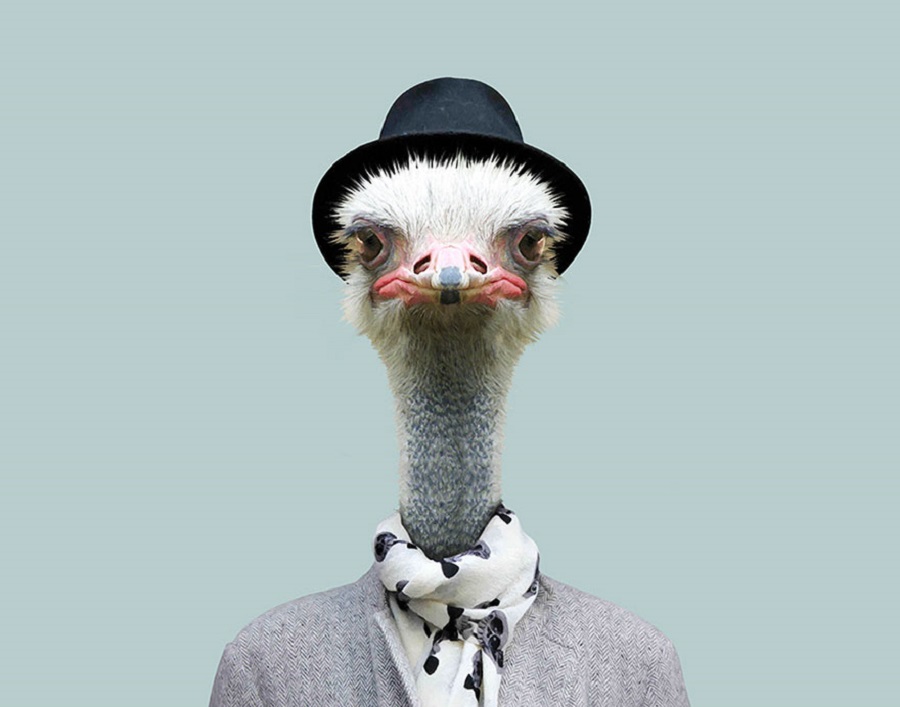 yago partal