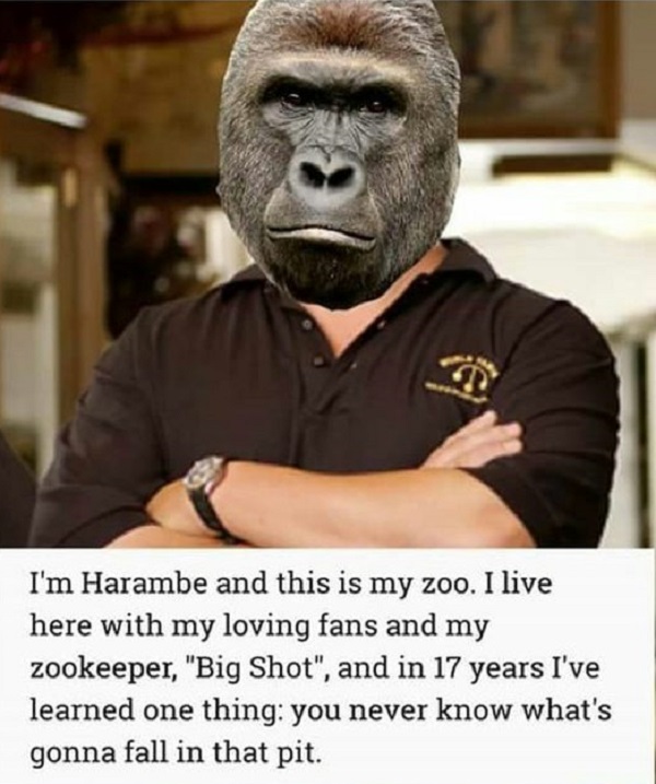 harembe meme