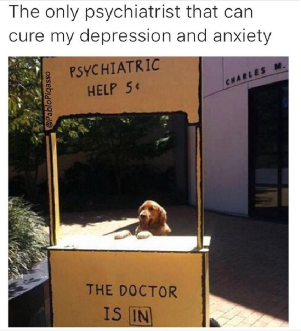 sarcasm