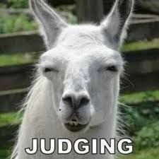 llamas