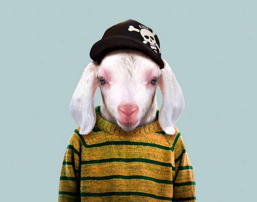 yago partal