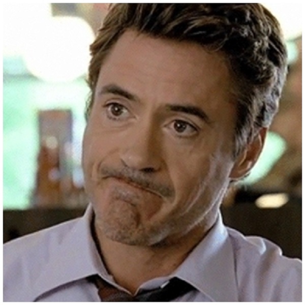 robert downey jr