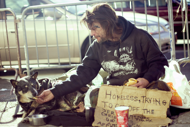 Unconditional love of dogs