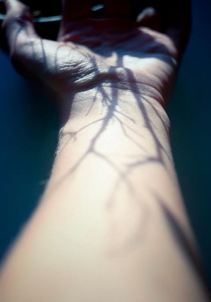 shadows