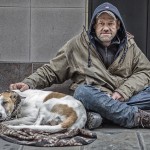 Unconditional love of dogs