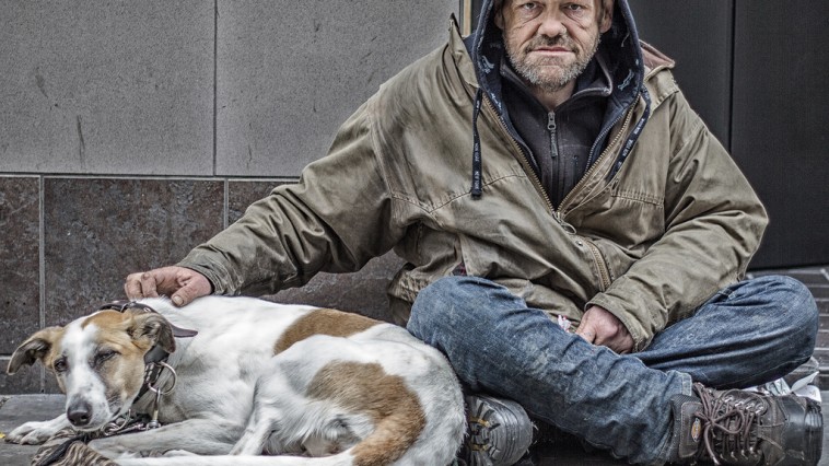 Unconditional love of dogs