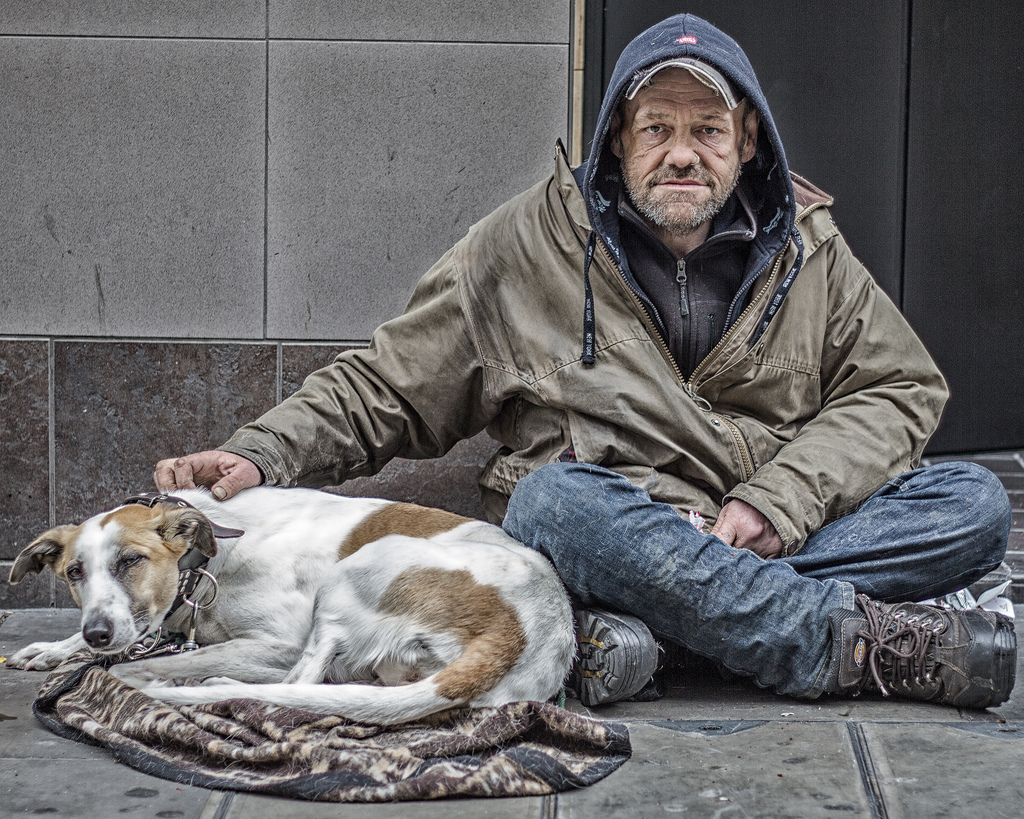 Unconditional love of dogs