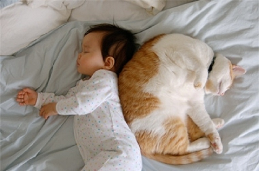 baby and cat sleeping