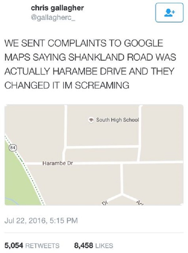 harembe meme