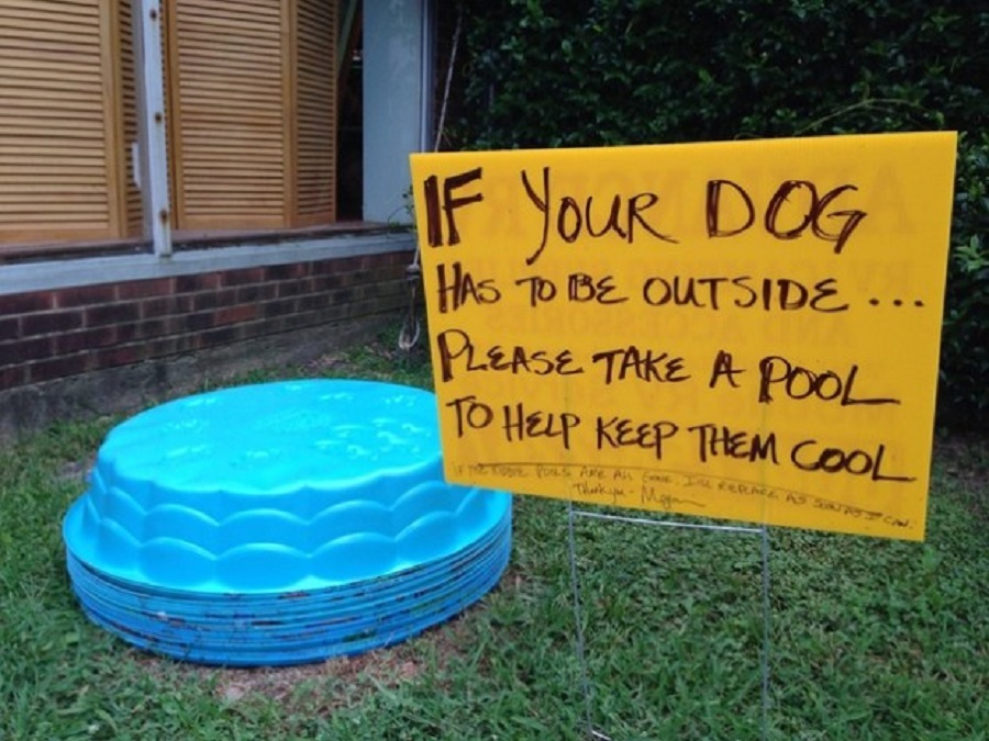 faith in humanity