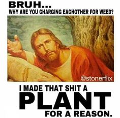 Weed