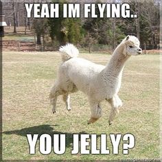 LLAMAS