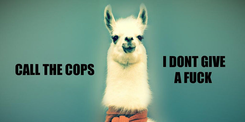 LLAMAS