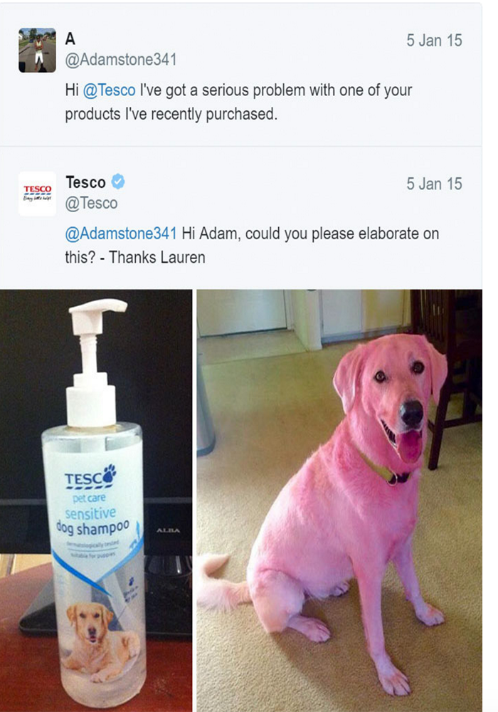 customer service