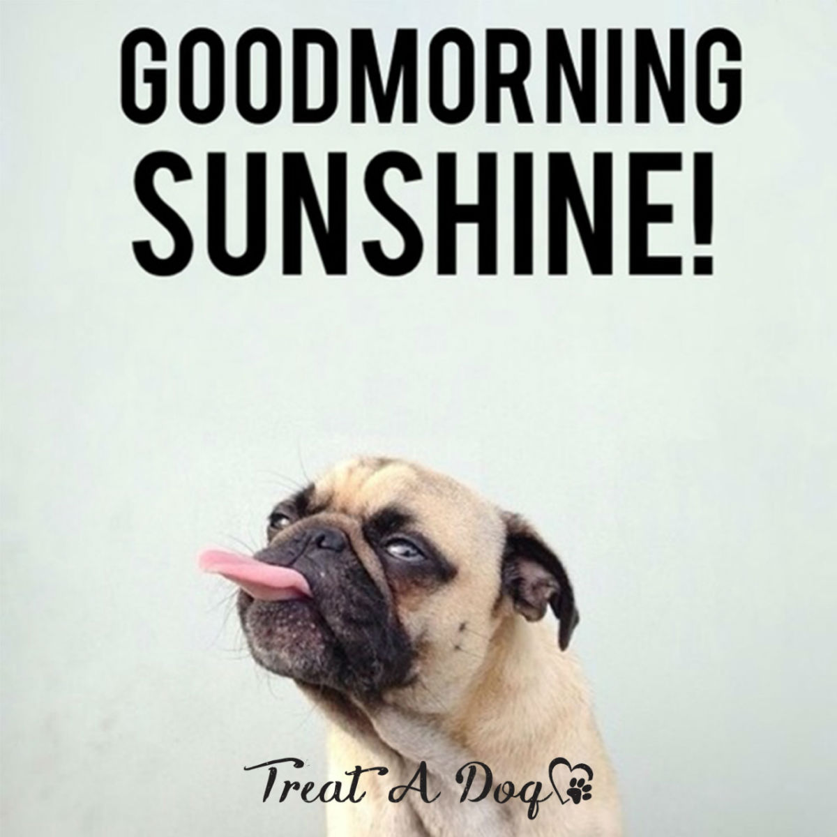 good-morning-meme-1