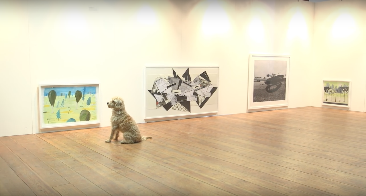 dog-exhibit