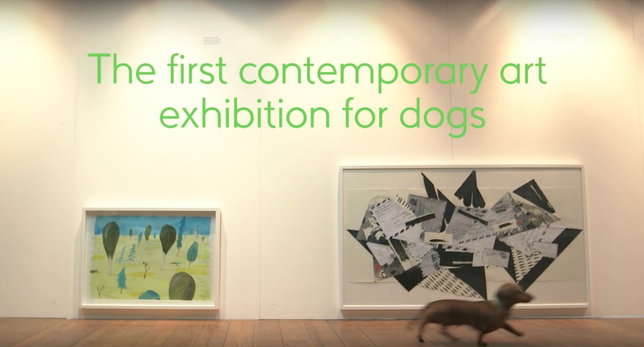 dog-exhibit