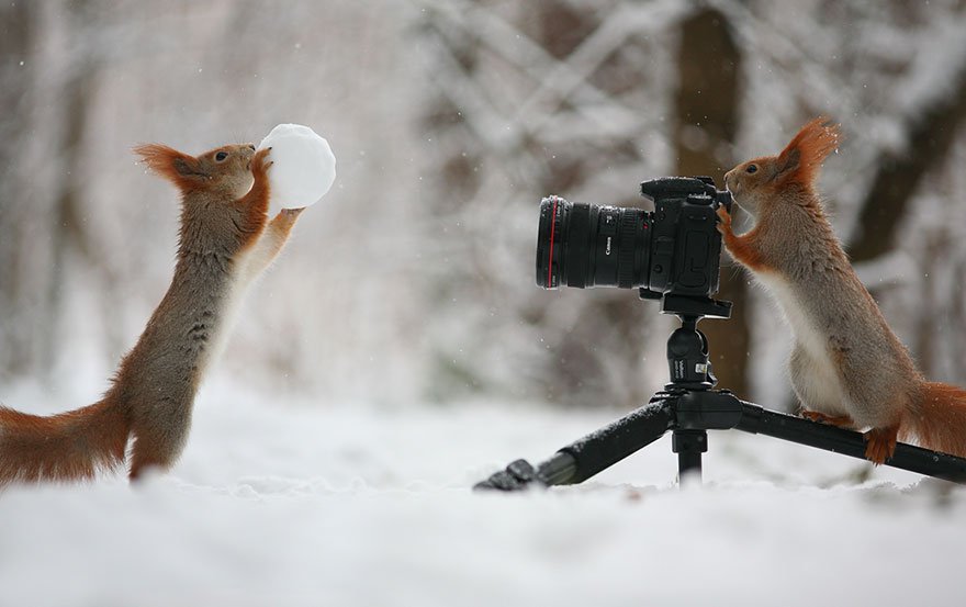 Vadim Trunov