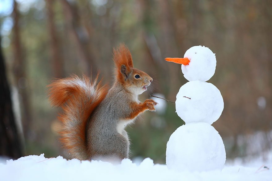 Vadim Trunov