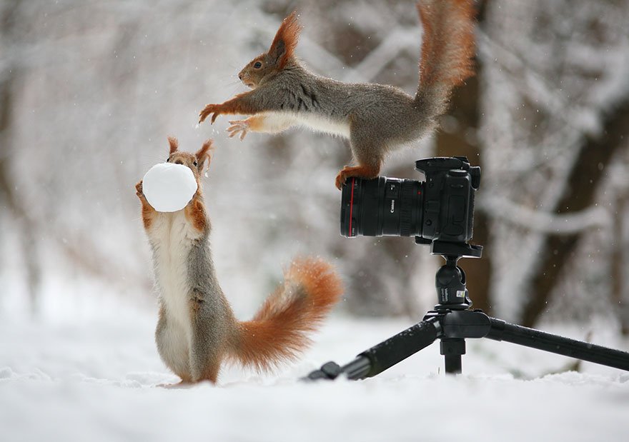 Vadim Trunov
