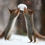 Vadim Trunov