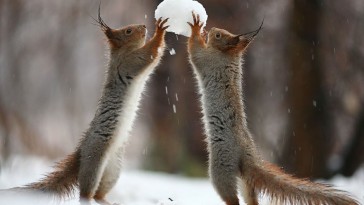 Vadim Trunov