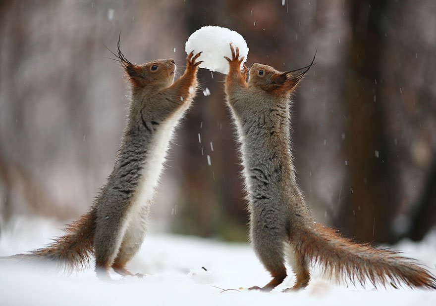 Vadim Trunov