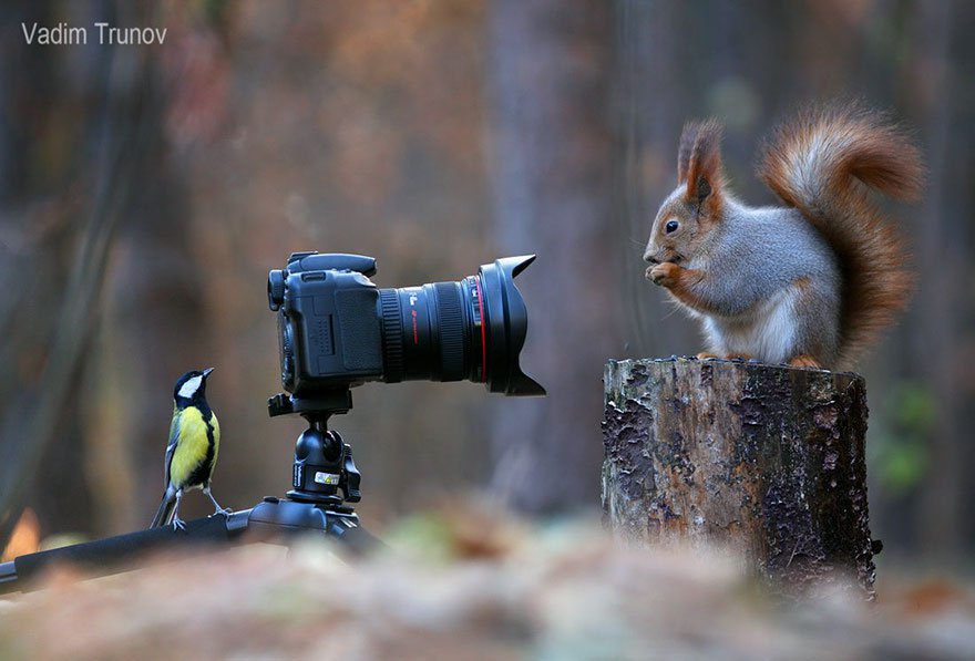 Vadim Trunov
